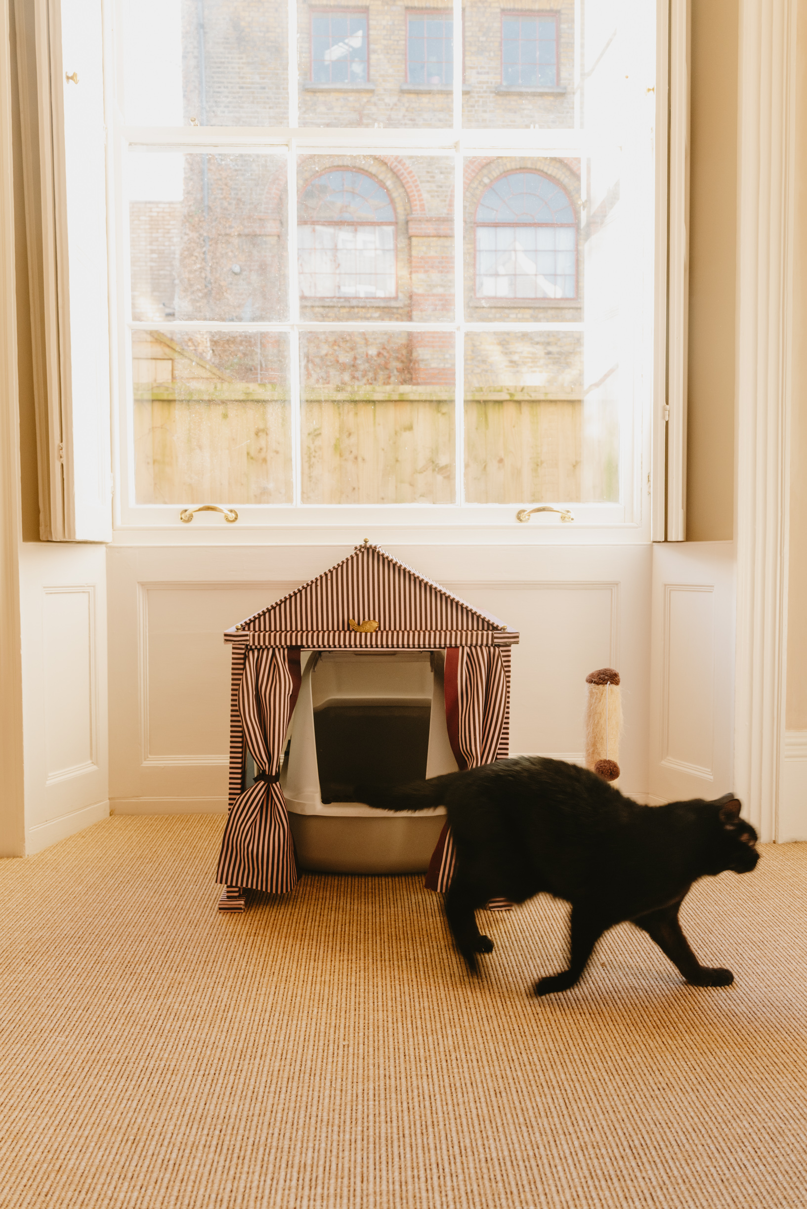 Colours of Arley Collaboration